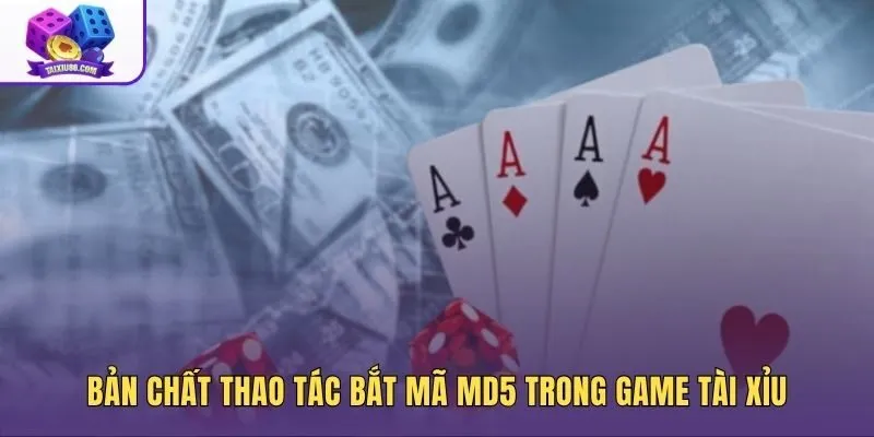 Quy chuẩn kiểm chứng dữ liệu qua cách bắt mã MD5